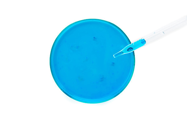 포토 JPG 스튜디오촬영 교육 과학 유리 실내 실험기구 실험 누끼 근접촬영 사람없음 파란색 하이앵글 물감 관찰 생명공학 스포이트 오브젝트 흰배경 교구 생물학 용액 미생물 생명과학 샤레 플랫레이 국내포토 뷰포인트 컬러 백그라운드 의학 모션 재질 생물 내부 미술도구 흰색 플랫 피펫 파일형식