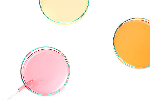 포토 JPG 스튜디오촬영 교육 과학 유리 실내 실험기구 실험 누끼 근접촬영 사람없음 하이앵글 컬러풀 관찰 세개 생명공학 스포이트 오브젝트 흰배경 교구 생물학 미생물 생명과학 샤레 플랫레이 국내포토 뷰포인트 컬러 백그라운드 의학 모션 재질 생물 3 내부 흰색 플랫 피펫 파일형식