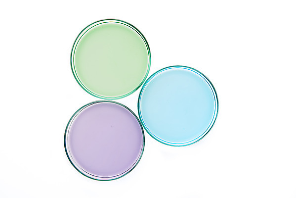 포토 JPG 스튜디오촬영 교육 과학 유리 실내 실험기구 실험 누끼 근접촬영 사람없음 하이앵글 컬러풀 관찰 세개 생명공학 오브젝트 흰배경 교구 생물학 미생물 생명과학 샤레 플랫레이 국내포토 뷰포인트 컬러 백그라운드 의학 모션 재질 생물 3 내부 흰색 플랫 파일형식