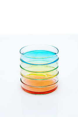 포토 JPG 스튜디오촬영 교육 과학 유리 실내 실험기구 실험 누끼 근접촬영 사람없음 컬러풀 쌓기 여러개 관찰 생명공학 오브젝트 흰배경 교구 생물학 미생물 생명과학 샤레 국내포토 뷰포인트 컬러 다수 백그라운드 의학 모션 재질 생물 내부 흰색 파일형식