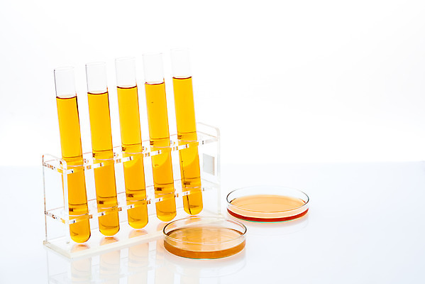 포토 JPG 스튜디오촬영 교육 과학 유리 실내 실험기구 실험 누끼 근접촬영 사람없음 주황색 여러개 관찰 생명공학 오브젝트 시험관 흰배경 교구 생물학 용액 미생물 생명과학 샤레 시험관대 국내포토 뷰포인트 컬러 다수 백그라운드 의학 모션 재질 생물 내부 흰색 파일형식