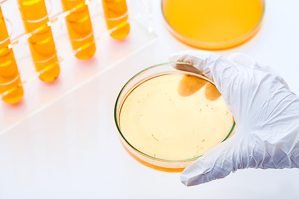 포토 JPG 스튜디오촬영 손 교육 과학 장갑 유리 한손 실내 실험기구 실험 누끼 손짓 근접촬영 신체부위 주황색 관찰 잡기 생명공학 오브젝트 시험관 흰배경 교구 생물학 미생물 생명과학 샤레 국내포토 잡화 뷰포인트 컬러 백그라운드 의학 모션 재질 생물 사람 내부 흰색 파일형식