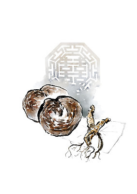 PSD 일러스트 캘리그라피 붓터치 흑백 병원 사람없음 갈색 전통문양 버섯 한의학 약재 인삼 약국 번짐 영지버섯 국내일러스트 전통 문양 컬러 의학 촬영기법 약 삼 파일형식 효과