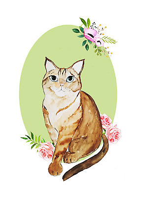 PSD 식물 한마리 꽃 일러스트 붓터치 나뭇잎 수채화 밝음 사람없음 반려동물 귀여움 고양이 화려 감성 반려묘 국내일러스트 동물 1 컨셉 잎 포유류 파일형식