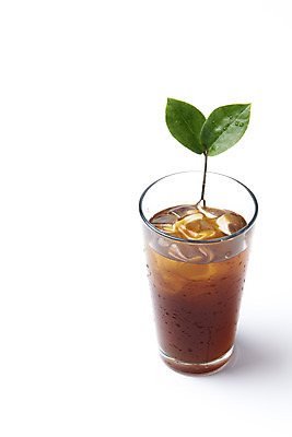 포토 JPG 스튜디오촬영 티타임 나뭇잎 잔 실내 누끼 사람없음 하이앵글 얼음 카페 차가움 오브젝트 흰배경 아메리카노 아이스아메리카노 국내포토 자연요소 식기 커피 뷰포인트 백그라운드 잎 휴식 내부 상점 흰색 아이스커피 파일형식