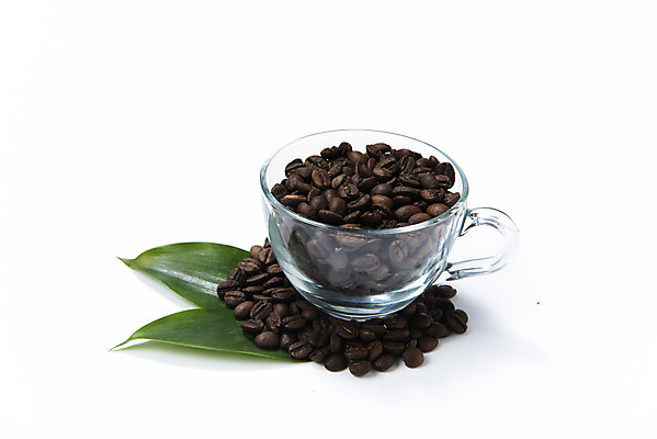 포토 JPG 스튜디오촬영 잎 티타임 잔 실내 누끼 사람없음 카페 원두 오브젝트 흰배경 국내포토 식물 식기 커피 백그라운드 휴식 내부 상점 흰색 파일형식