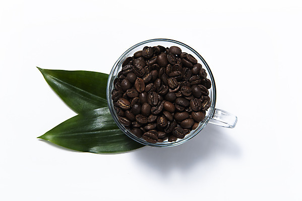 포토 JPG 스튜디오촬영 잎 티타임 잔 실내 누끼 사람없음 하이앵글 카페 원두 오브젝트 흰배경 플랫레이 국내포토 식물 식기 커피 뷰포인트 백그라운드 휴식 내부 상점 흰색 플랫 파일형식