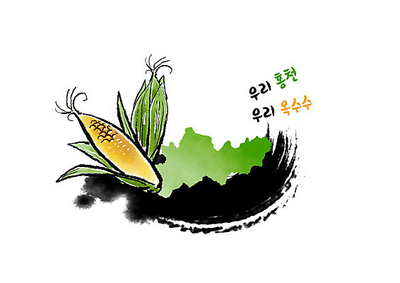 PSD 열매 잎 일러스트 캘리그라피 붓터치 흑백 옥수수 사람없음 초록색 노란색 껍질 특산물 번짐 지역 홍천 국내일러스트 식물 컬러 곡류 촬영기법 강원도 파일형식 효과