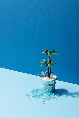 포토 JPG 스튜디오촬영 식물 화분 종이 모래 바다 백그라운드 휴가 유리병 불가사리 실내 사람없음 여름 파란색 여름휴가 바캉스 야자수 얼음 미니어처 양동이 오브젝트 클래식블루 트렌드컬러 국내포토 자연요소 나무 계절 컬러 병_용기 극피동물 내부 모형 파일형식 트랜드컬러 여름_계절