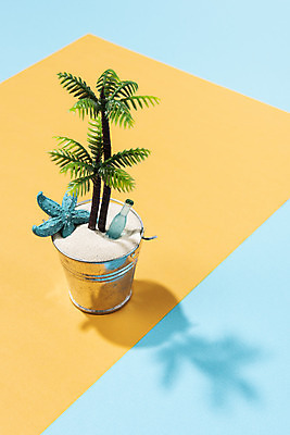 포토 JPG 스튜디오촬영 식물 계절 화분 종이 모래 백그라운드 휴가 유리병 불가사리 실내 그림자 사람없음 여름 파란색 여름휴가 바캉스 하이앵글 컬러풀 야자수 노란색 양동이 오브젝트 국내포토 나무 뷰포인트 컬러 병_용기 극피동물 내부 파일형식 여름_계절