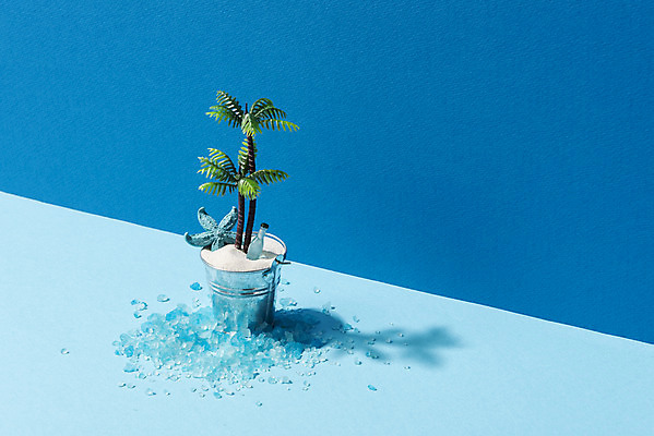 포토 JPG 스튜디오촬영 계절 화분 종이 모래 백그라운드 휴가 유리병 불가사리 실내 사람없음 여름 파란색 여름휴가 바캉스 야자수 얼음 미니어처 양동이 오브젝트 국내포토 자연요소 나무 컬러 병_용기 극피동물 내부 모형 파일형식 여름_계절