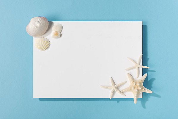 포토 JPG 스튜디오촬영 배너 계절 종이 백그라운드 휴가 조개 불가사리 실내 사람없음 여름 여름휴가 바캉스 하이앵글 흰색 오브젝트 파란배경 플랫레이 카피스페이스 국내포토 뷰포인트 컬러 어패류 극피동물 내부 파란색 공백 플랫 파일형식 여름_계절