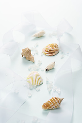 포토 JPG 스튜디오촬영 계절 리본 바다 백그라운드 휴가 조개 실내 사람없음 여름 파란색 여름휴가 바캉스 조약돌 소라 오브젝트 국내포토 컬러 어패류 내부 돌_바위 파일형식 여름_계절