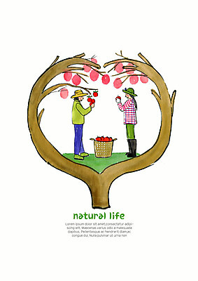 전신 PSD 모자 라이프스타일 웰빙 여자 중년 과일 일러스트 자연 수채화 사람 성인 두명 라이프 바구니 농사 봄 수확 사과 농부 숲 과일나무 친환경 유기농 사과나무 나눔 내추럴 국내일러스트 나무 직업 잡화 계절 농업 생활 환경 생태계 파일형식