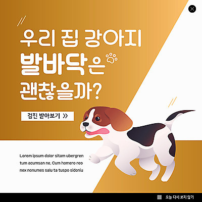 PSD 동물 템플릿 한마리 ZIP 반려견 웹템플릿 팝업 이벤트팝업 웹팝업 이벤트 사람없음 반려동물 갈색 강아지 비글 발바닥 그라데이션 대각선 건강검진 돌봄 반려 빅팝업 이미지템플릿 1 선 컬러 모션 발 개 검사_조사 파일형식