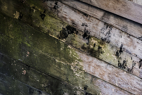 포토 JPG 주간 벽 백그라운드 패턴 이끼 근접촬영 사람없음 야외 갈색 빈티지 지저분함 질감 나무벽 나무담장 국내포토 자연요소 뷰포인트 컬러 컨셉 무늬 목재 담장 감각 파일형식