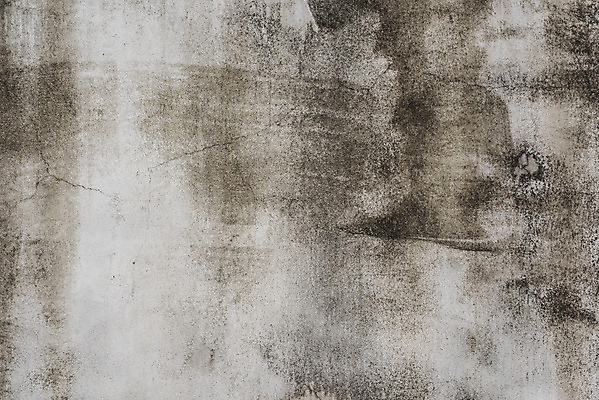 포토 JPG 주간 벽 백그라운드 재질 근접촬영 사람없음 야외 회색 빈티지 지저분함 질감 시멘트 시멘트벽 국내포토 자연요소 뷰포인트 컬러 컨셉 감각 파일형식