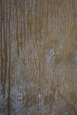 포토 JPG 주간 벽 백그라운드 근접촬영 사람없음 야외 목재 나뭇결 갈색 빈티지 질감 나무벽 국내포토 자연요소 나무 뷰포인트 컬러 컨셉 재료 파일형식