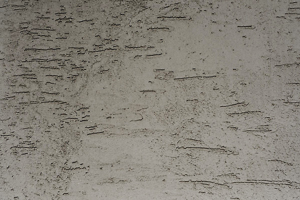 포토 JPG 주간 벽 백그라운드 근접촬영 사람없음 야외 회색 빈티지 질감 국내포토 자연요소 뷰포인트 컬러 컨셉 파일형식