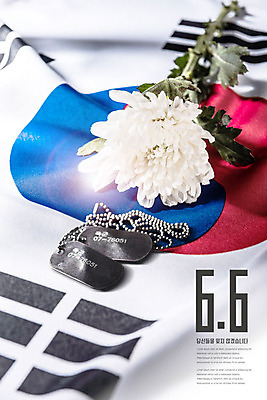 PSD 편집이미지 기념일 한송이 국화 사람없음 빨간색 파란색 흰색 태극기 희생 현충일 군번줄 카피스페이스 호국정신 호국보훈의달 이미지편집 1 꽃 컬러 이벤트 공백 국기 6월 군용 송이 애국심 파일형식