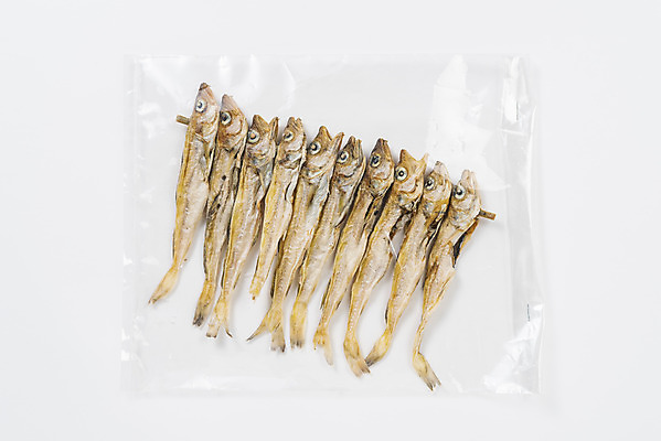 포토 JPG 스튜디오촬영 건조 실내 누끼 사람없음 하이앵글 가공식품 안주 오브젝트 흰배경 건어물 마른안주 비닐포장 플랫레이 노가리 국내포토 뷰포인트 백그라운드 포장 어류 내부 흰색 플랫 파일형식