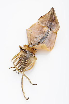 포토 JPG 스튜디오촬영 건조 실내 어류 누끼 사람없음 하이앵글 가공식품 해산물 안주 오브젝트 오징어 흰배경 건어물 마른안주 말린오징어 플랫레이 국내포토 뷰포인트 백그라운드 연체동물 내부 수중동물 흰색 플랫 파일형식