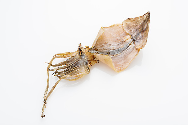 포토 JPG 스튜디오촬영 건조 실내 어류 누끼 사람없음 하이앵글 가공식품 해산물 안주 오브젝트 오징어 흰배경 건어물 마른안주 말린오징어 플랫레이 국내포토 뷰포인트 백그라운드 연체동물 내부 수중동물 흰색 플랫 파일형식