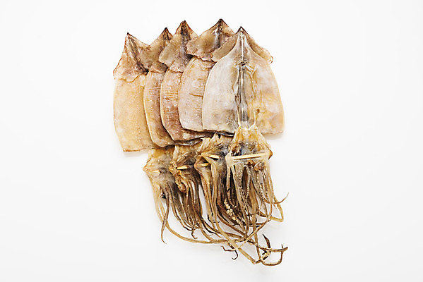 포토 JPG 스튜디오촬영 건조 실내 어류 누끼 사람없음 하이앵글 가공식품 해산물 안주 오브젝트 오징어 흰배경 건어물 마른안주 말린오징어 플랫레이 국내포토 뷰포인트 백그라운드 연체동물 내부 수중동물 흰색 플랫 파일형식
