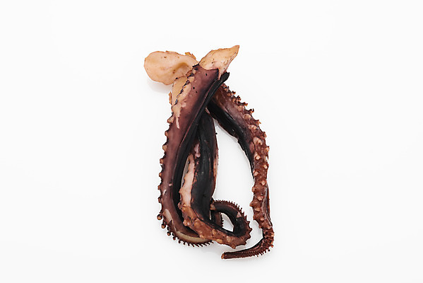 포토 JPG 스튜디오촬영 건조 실내 누끼 사람없음 하이앵글 가공식품 안주 오브젝트 흰배경 문어 건어물 마른안주 문어다리 플랫레이 가문어 통족 국내포토 뷰포인트 백그라운드 연체동물 내부 수중동물 흰색 플랫 오징어 파일형식