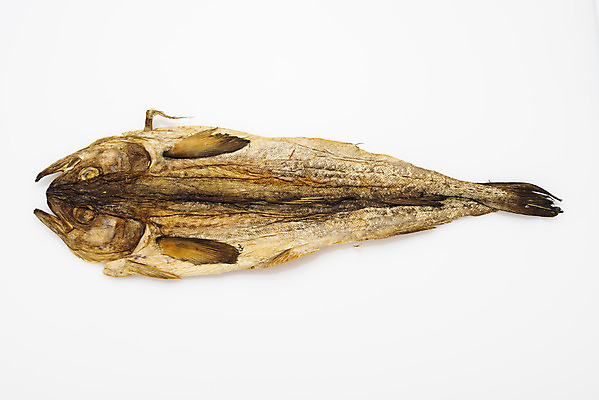 포토 JPG 스튜디오촬영 건조 실내 누끼 사람없음 하이앵글 가공식품 명태 안주 오브젝트 흰배경 건어물 마른안주 플랫레이 먹태 국내포토 뷰포인트 백그라운드 내부 흰색 플랫 생태_생선 파일형식