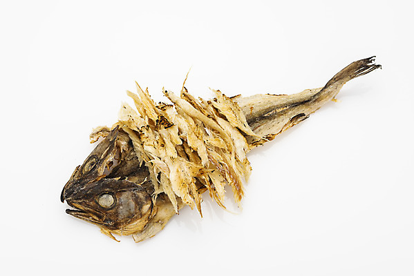 포토 JPG 스튜디오촬영 건조 실내 누끼 사람없음 하이앵글 가공식품 명태 안주 오브젝트 흰배경 건어물 마른안주 플랫레이 먹태 국내포토 뷰포인트 백그라운드 내부 흰색 플랫 생태_생선 파일형식