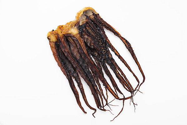 포토 JPG 스튜디오촬영 건조 실내 누끼 사람없음 하이앵글 가공식품 안주 오브젝트 흰배경 문어 건어물 마른안주 문어다리 플랫레이 국내포토 뷰포인트 백그라운드 연체동물 내부 수중동물 흰색 플랫 파일형식