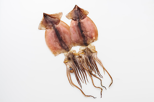 포토 JPG 스튜디오촬영 건조 실내 누끼 사람없음 하이앵글 가공식품 안주 오브젝트 오징어 흰배경 건어물 마른안주 플랫레이 반건조오징어 국내포토 뷰포인트 백그라운드 연체동물 내부 수중동물 흰색 플랫 파일형식