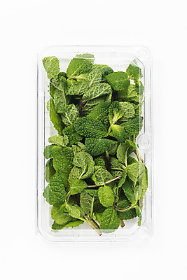 포토 JPG 스튜디오촬영 포장 실내 누끼 사람없음 하이앵글 신선 허브 오브젝트 흰배경 애플민트 플라스틱통 플랫레이 국내포토 식물 뷰포인트 백그라운드 통 내부 흰색 플랫 플라스틱 민트 파일형식