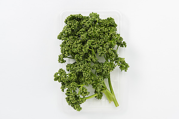 포토 JPG 스튜디오촬영 실내 파슬리 누끼 사람없음 하이앵글 신선 허브 오브젝트 흰배경 플라스틱통 플랫레이 국내포토 식물 뷰포인트 백그라운드 채소 통 내부 흰색 플랫 플라스틱 파일형식