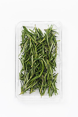 포토 JPG 스튜디오촬영 실내 누끼 사람없음 하이앵글 신선 허브 오브젝트 흰배경 로즈메리 플라스틱통 플랫레이 국내포토 식물 뷰포인트 백그라운드 통 내부 흰색 플랫 플라스틱 파일형식