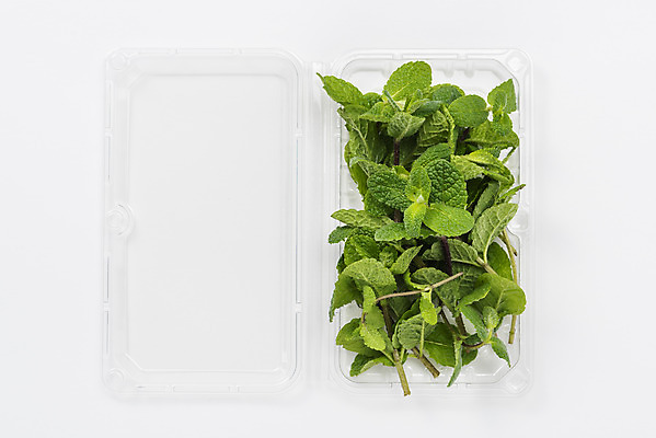포토 JPG 스튜디오촬영 포장 실내 누끼 사람없음 하이앵글 신선 허브 오브젝트 흰배경 애플민트 플라스틱통 플랫레이 국내포토 식물 뷰포인트 백그라운드 통 내부 흰색 플랫 플라스틱 민트 파일형식