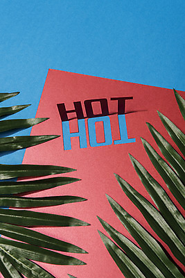 포토 JPG 스튜디오촬영 식물 문자 알파벳 영어 계절 나뭇잎 실내 타이포그라피 사람없음 빨간색 여름 파란색 단어 여름휴가 바캉스 하이앵글 컬러풀 야자수 더위 오브젝트 HOT 열대잎 국내포토 나무 뷰포인트 컬러 잎 날씨 휴가 내부 파일형식 여름_계절