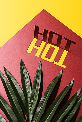 포토 JPG 스튜디오촬영 식물 문자 알파벳 계절 종이 나뭇잎 실내 타이포그라피 사람없음 여름 단어 여름휴가 바캉스 하이앵글 컬러풀 야자수 페이퍼아트 더위 오브젝트 HOT 열대잎 국내포토 나무 영어 뷰포인트 컬러 잎 날씨 휴가 내부 파일형식 여름_계절