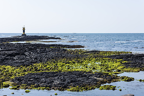 포토 JPG 주간 바다 여행 자연 하늘 한국 등대 이끼 풍경 사람없음 야외 제주도 맑음 봄 돌_바위 신창해안도로 국내포토 자연요소 계절 아시아 날씨 생태계 해안도로 파일형식
