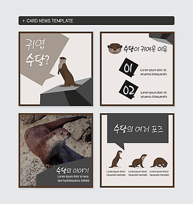 PSD 동물 템플릿 포즈 웹템플릿 여러마리 사람없음 귀여움 돌 바위 천연기념물 베이지색 수달 카드뉴스 이미지템플릿 컬러 다수 컨셉 돌_바위 파일형식