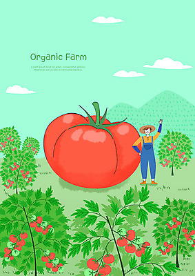 전신 PSD 구름 남자 토마토 일러스트 산 한명 사람 청년 성인 초록색 여름 농작물 컬러풀 농장 농사 기쁨 신선 농부 유기농 민트색 밭농사 보람 성인남자한명만 국내일러스트 자연요소 직업 1 웰빙 계절 감정 컬러 농업 채소 남자한명만 성인남자만 파일형식