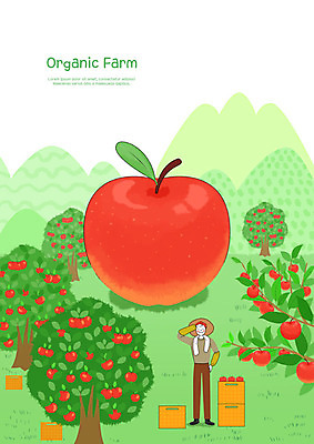 전신 PSD 열매 남자 과일 일러스트 한명 사람 청년 성인 빨간색 초록색 농작물 상자 컬러풀 농장 농사 기쁨 수확 가을 신선 사과 농부 과수원 유기농 사과나무 보람 성인남자한명만 국내일러스트 나무 식물 직업 1 웰빙 계절 감정 컬러 농업 남자한명만 성인남자만 파일형식