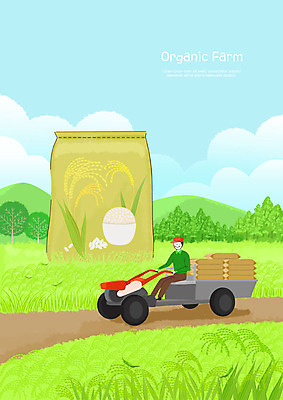 전신 PSD 구름 남자 하늘색 일러스트 하늘 산 논 한명 사람 청년 성인 초록색 여름 컬러풀 농장 기쁨 벼 쌀 신선 운반 유기농 시골길 벼농사 경운기 논농사 보람 쌀포대 성인남자한명만 국내일러스트 자연요소 1 웰빙 계절 감정 길 컬러 농업 곡류 파란색 농사 농기계 남자한명만 성인남자만 파일형식