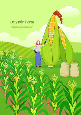 전신 PSD 여자 밭 일러스트 여름음식 옥수수 한명 사람 청년 성인 초록색 연두색 여름 농작물 농장 농사 기쁨 시골 신선 농부 유기농 자루 옥수수밭 밭농사 보람 성인여자한명만 제철음식 국내일러스트 직업 1 웰빙 계절 감정 음식 컬러 농업 곡류 제철 여자한명만 성인여자만 파일형식 여름_계절