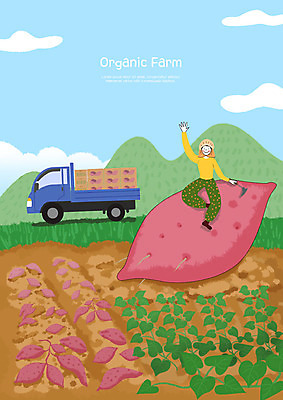 전신 PSD 구름 여자 하늘색 일러스트 하늘 산 한명 사람 청년 성인 초록색 농작물 상자 농장 농사 흙 기쁨 트럭 수확 신선 운반 농부 상품 유기농 고구마 밭농사 보람 성인여자한명만 국내일러스트 자연요소 직업 1 웰빙 감정 컬러 농업 자동차 뿌리채소 파란색 여자한명만 성인여자만 파일형식