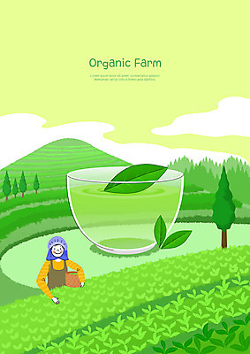 PSD 나무 여자 일러스트 산 한명 사람 상반신 청년 성인 초록색 농장 농사 기쁨 신선 찻잔 녹차 유기농 녹차밭 녹차잎 보람 성인여자한명만 국내일러스트 식물 1 웰빙 감정 컬러 밭 농업 잔 차_음료 찻잎 여자한명만 성인여자만 파일형식