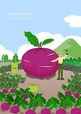 전신 PSD 구름 남자 하늘색 일러스트 하늘 산 돌담 한명 사람 청년 성인 초록색 파란색 농장 농사 기쁨 수확 신선 농부 유기농 보람 콜라비 성인남자한명만 국내일러스트 자연요소 직업 1 웰빙 감정 컬러 농업 채소 담장 돌_바위 남자한명만 성인남자만 파일형식