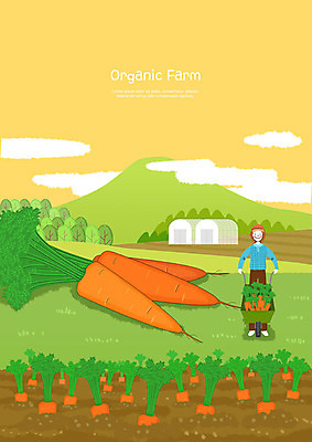 전신 PSD 구름 남자 밭 일러스트 산 한명 사람 초원 청년 성인 농작물 컬러풀 농장 농사 수레 당근 기쁨 시골 신선 농부 유기농 비닐하우스 보람 성인남자한명만 국내일러스트 자연요소 직업 1 웰빙 감정 컬러 농업 뿌리채소 카트 남자한명만 성인남자만 파일형식