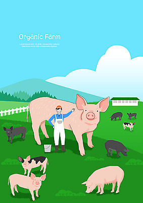 전신 PSD 남자 여러마리 일러스트 한명 사람 초원 청년 성인 초록색 울타리 컬러풀 농장 농사 봄 기쁨 신선 돼지 농부 유기농 헛간 보람 흑돼지 성인남자한명만 국내일러스트 직업 1 웰빙 계절 감정 컬러 다수 농업 포유류 담장 저장고 남자한명만 성인남자만 파일형식